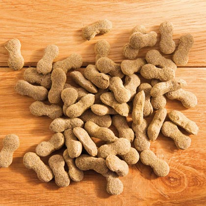 ALSA-Natur Bio-Leckerli