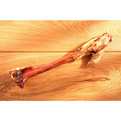 ALSA-Natur Rentier-Knochen