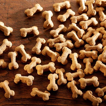 ALSA-Natur Mini-Knochen