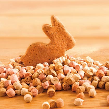 ALSA-Natur Oster-Mix mit Hase