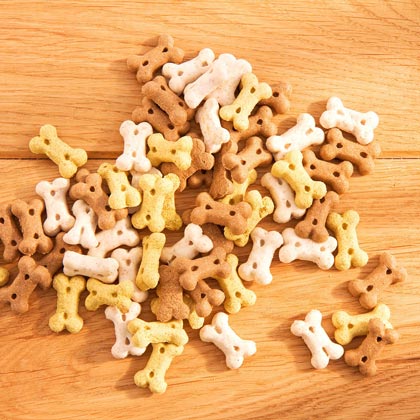 alsa-nature Puppy-Bones