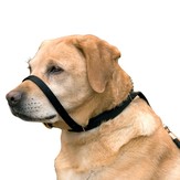 Erziehungshalsung "Canny Collar"