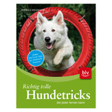 Hundetricks