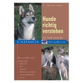 Hunde richtig verstehen