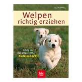 Welpen richtig erziehen