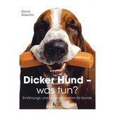 Dicker Hund - was tun?