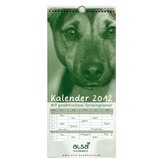alsa-hundewelt Kalender
