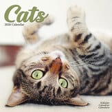 Kalender 2012 "Katzen"