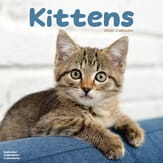 Kalender 2011 "K&auml;tzchen"