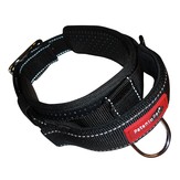 Nylon-Halsung "Dog Control Sport"