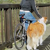 Fahrradhalter "Go for a walk"