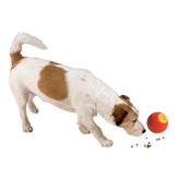 Snackball "Robbo Dog"