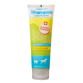 bogacare Shampoo "Anti-Parasiten"