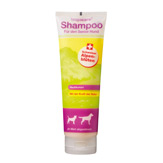 bogacare Shampoo "Senior"