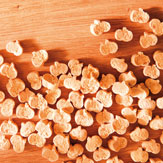 alsa-nature Mini-K&uuml;rbiskeks