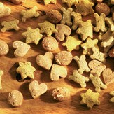 alsa-nature Dappere hond