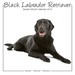 alsa-Hundewelt Schn&auml;ppchen - Studio Hundekalender 2012 "Black Labrador Retriever"