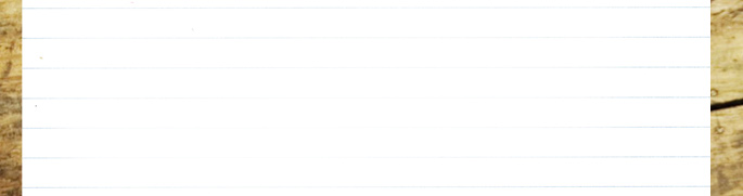 Qualit&auml;tsscout