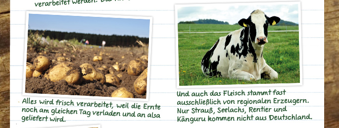 Qualit&auml;tsscout