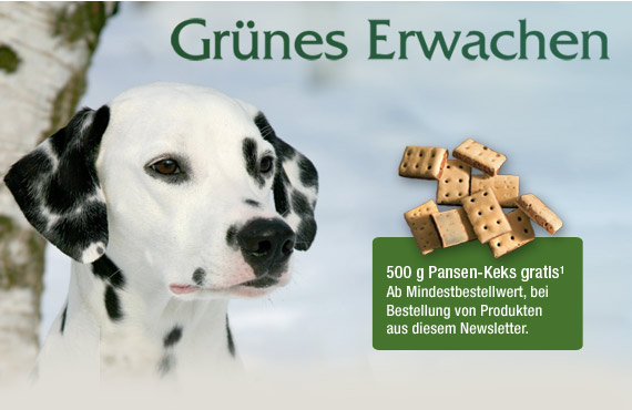 Grünes Erwachen