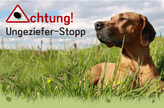 Achtung! Ungesziefer Stopp