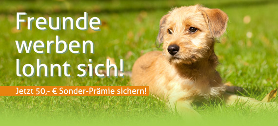 Freunde werben lohnt sich!