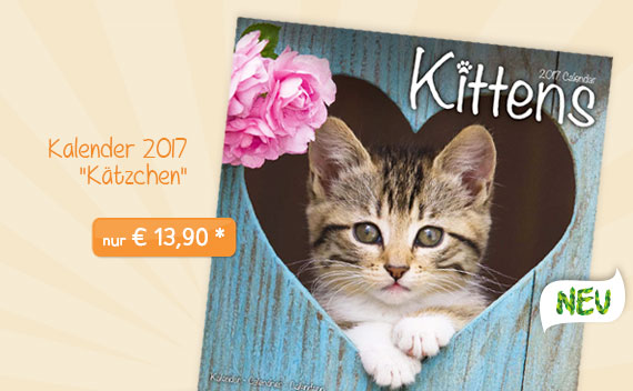 Kalender 2017 "Kätzchen"