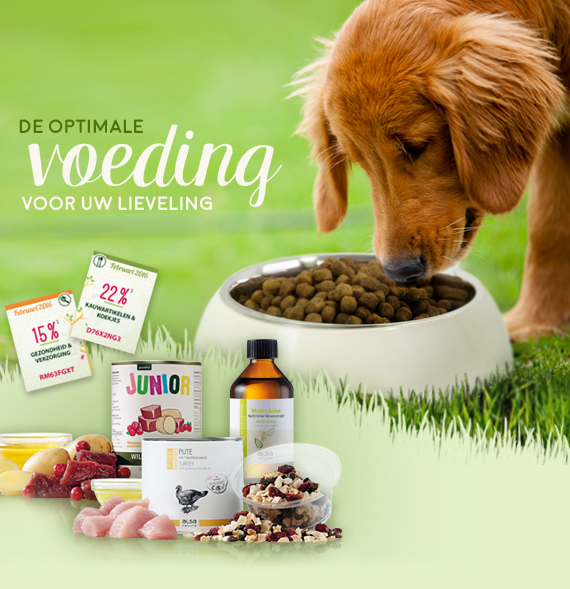 De optimale voeding voor uw lieveling