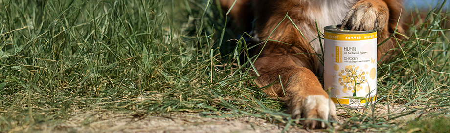 4-Season Dosenmenüs.