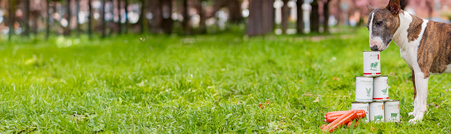 Hundenassfutter Vorteilspakete.