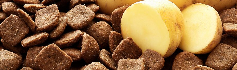 Naturgesundes Hundefutter ohne Getreide - alsa-nature Hundefutter.