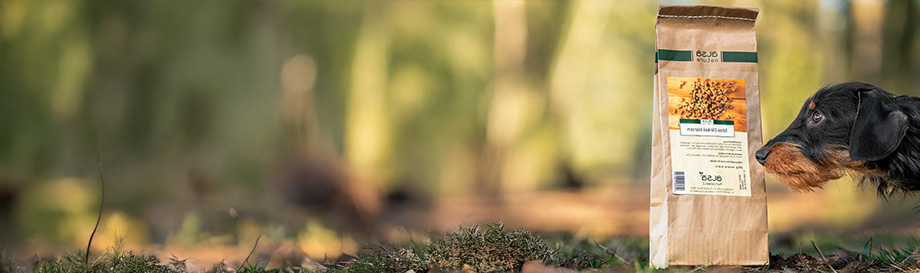 Leckerlis für Welpen.