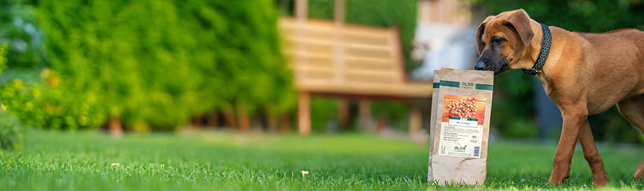 Welkomstpakketten voor honden, van alsa-nature