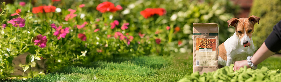 Trainingssnacks für Hunde.