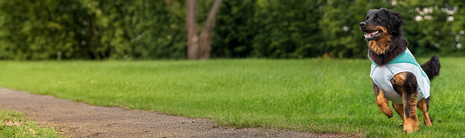 Sonstige Mäntel und Jacken für Hunde