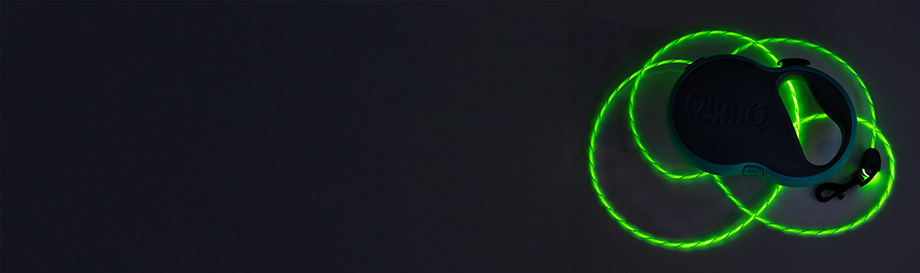 Sicherheitsleinen für Hunde