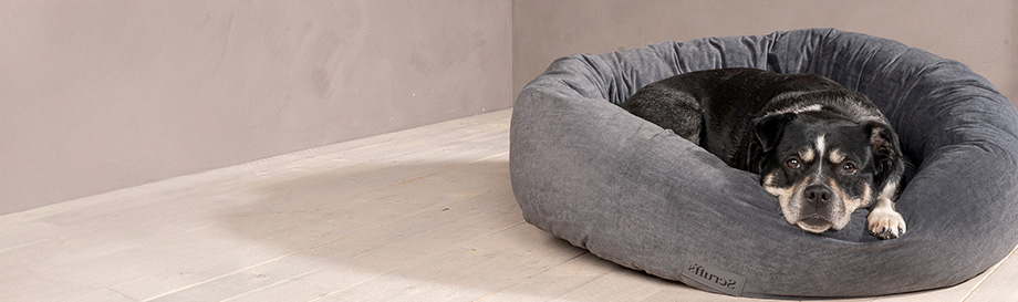Schlafplätze für große Hunde.