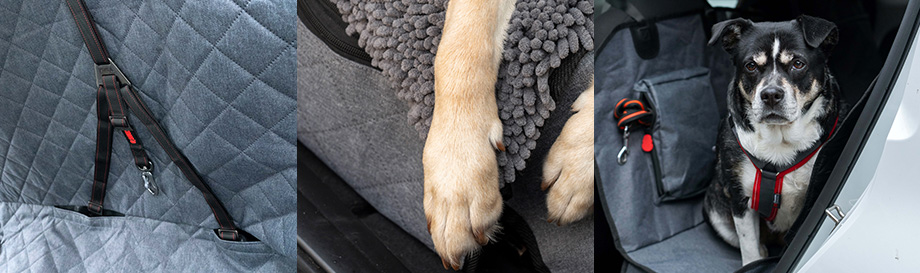 Autoschondecken für Hunde