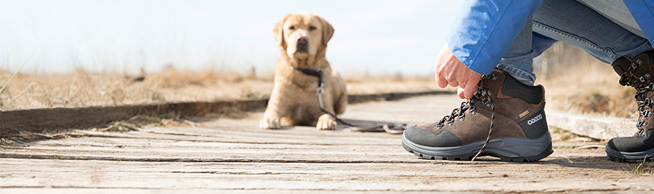 Schoenen voor heerlijke wandelingen met de hond