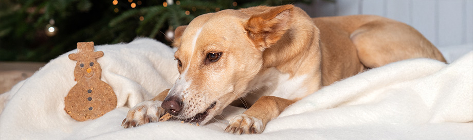 Weihnachtsspezialitäten
