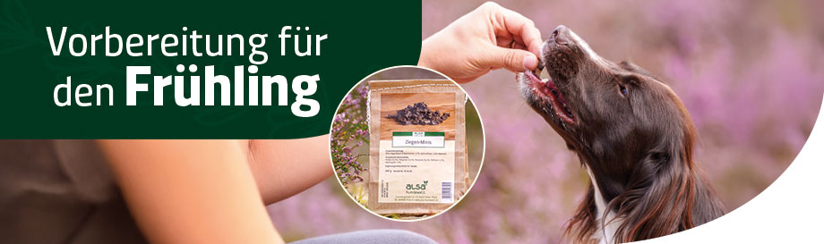 Hunde-Ungezieferabwehr