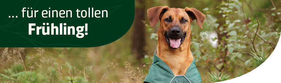 Hochwertiges Zubehör für Ausflüge mit dem Hund