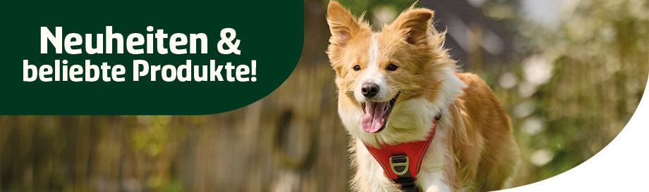 Neuheiten und Topseller von alsa-hundewelt