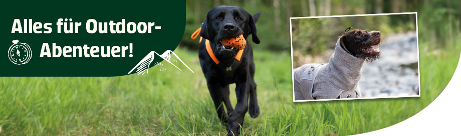 Hochwertiges Hundezubehör Food und Nonfood