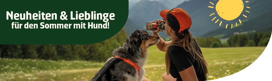 Neuheiten und Lieblinge für den Sommer mit Hund