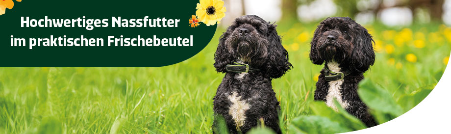 Nassfutter im Frischebeutel