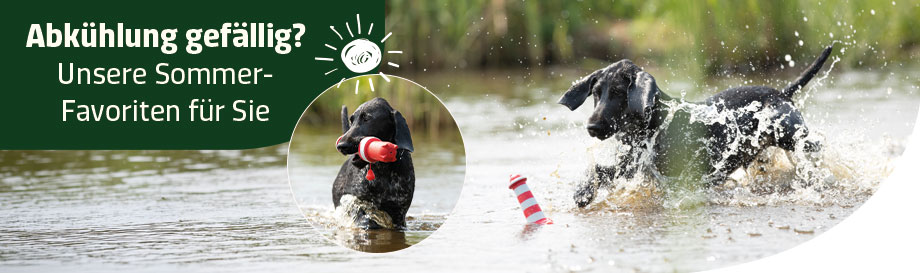 Alles für warme Tage mit Hund