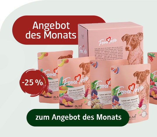 halsband mit namen hund Halsband mit Name & Telefonnummer main image 0