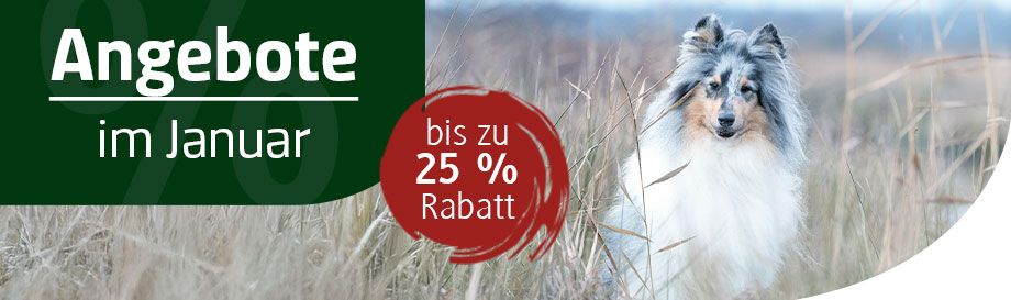 Abwechslungsreiche Dosenmenüs