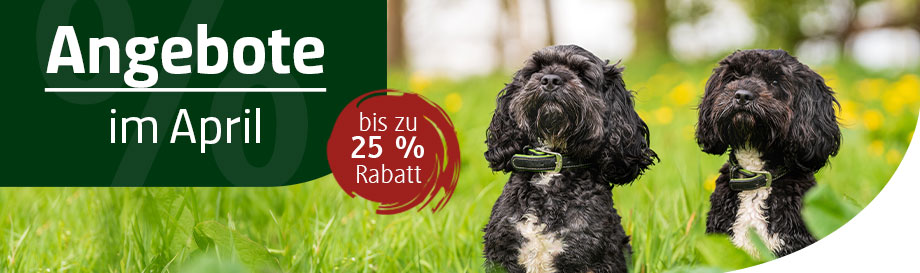 Hundefutter und Leckerlis bis zu 25 % reduziert